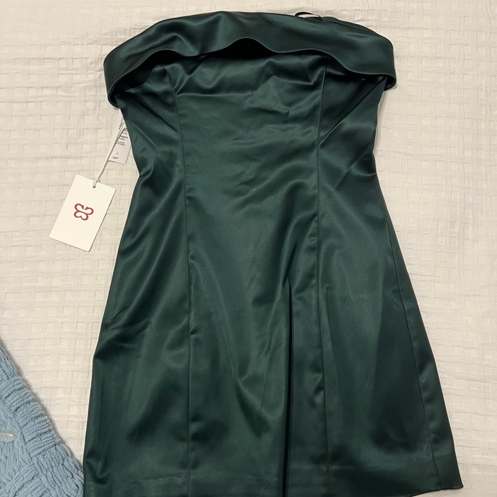 Aritzia Shimmer Tube Dress NWT
